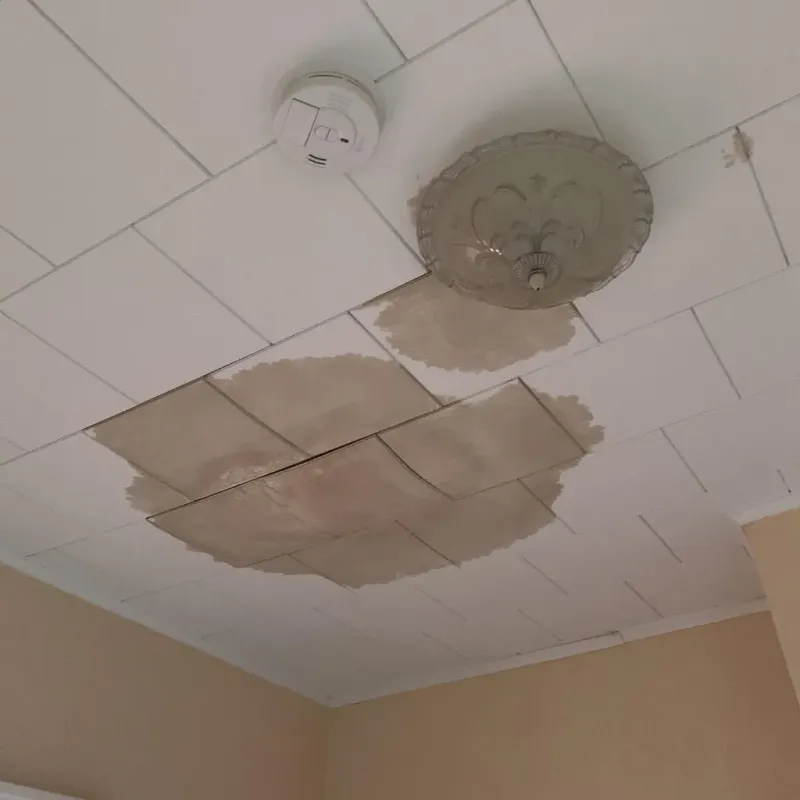 Ceiling Water Damage Repair in Camden, TN