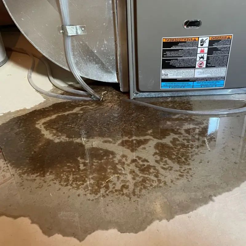Pipe Burst and Leak Restoration in Camden, TN