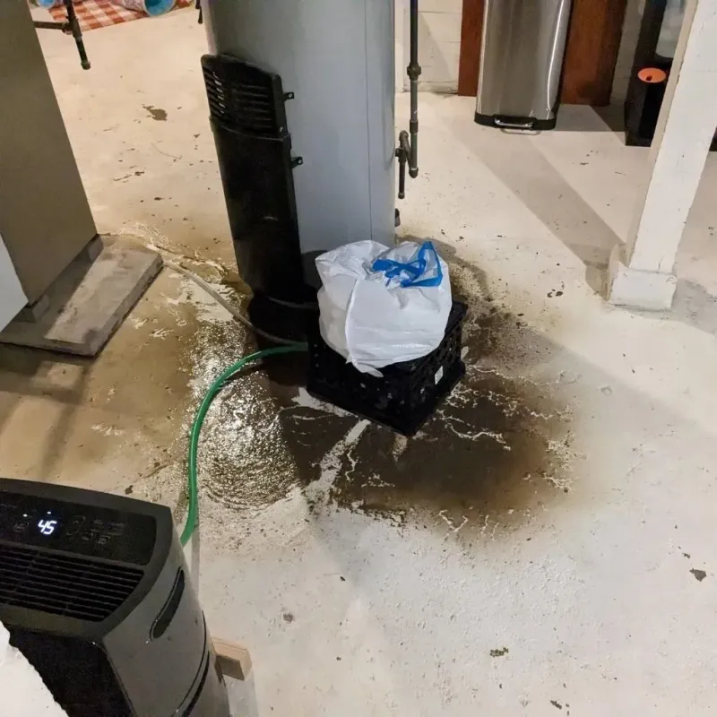 Sewage Backup Cleanup Service in Camden, TN